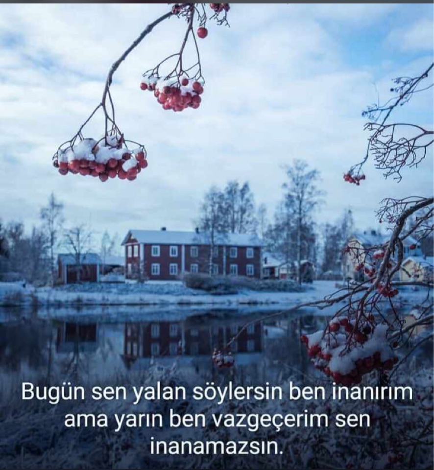 Ender