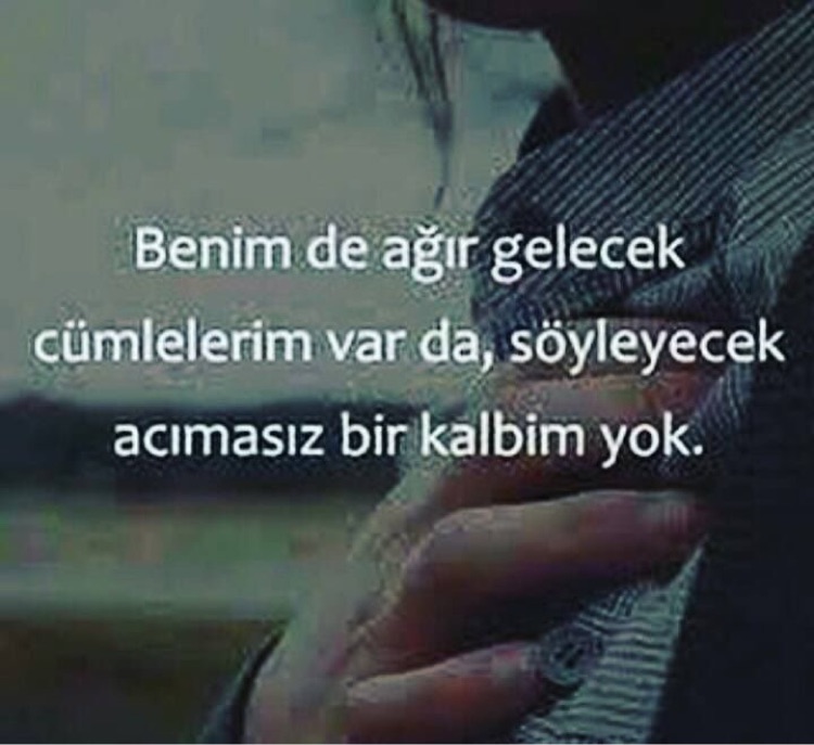 Şahin