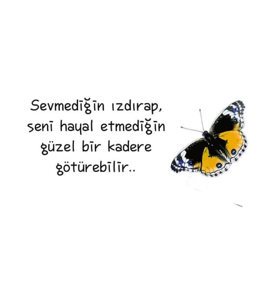 Aykut