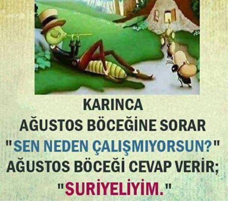 Rahmi