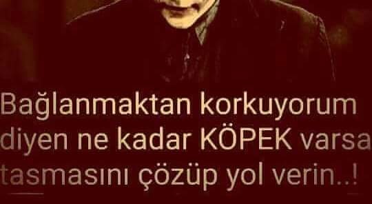 Saadet