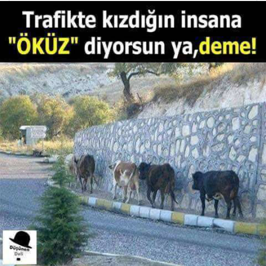 Tahsin