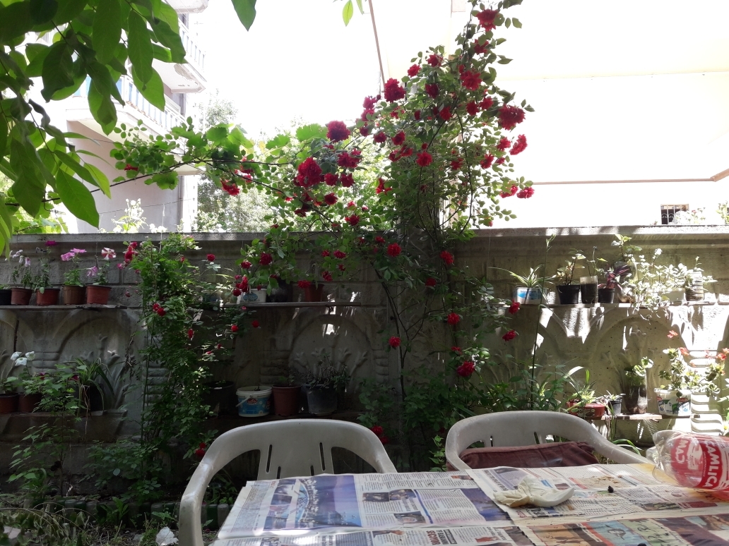 Yılmaz