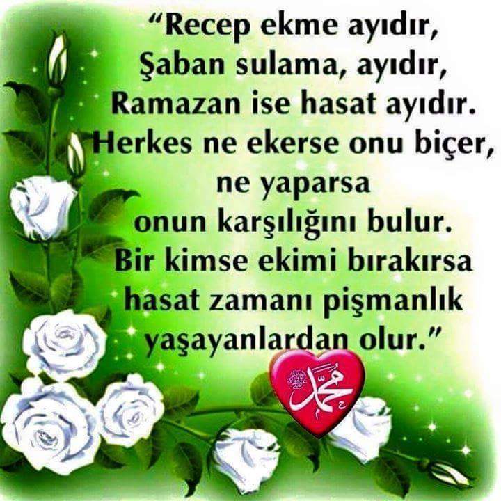 Ecrin