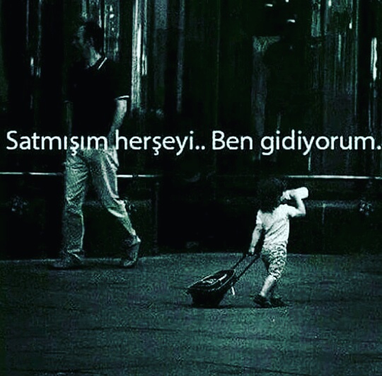 SeLin