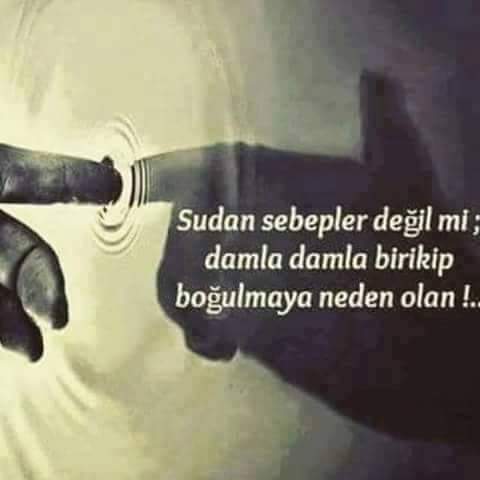 Sevim