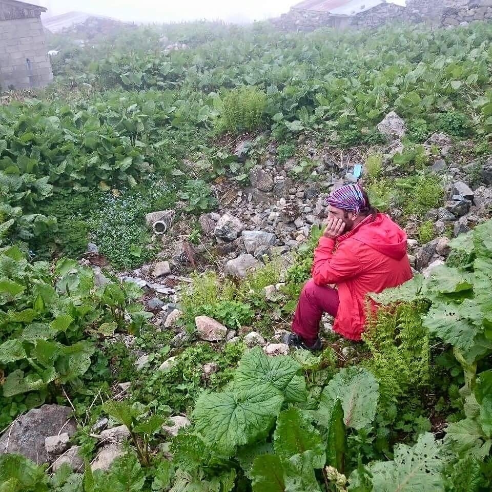 Şerif