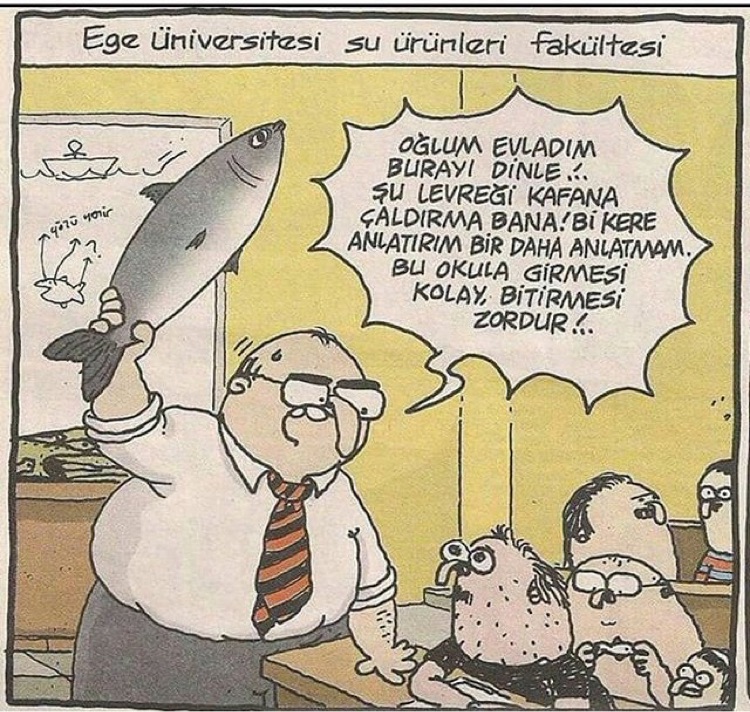 Tahsin