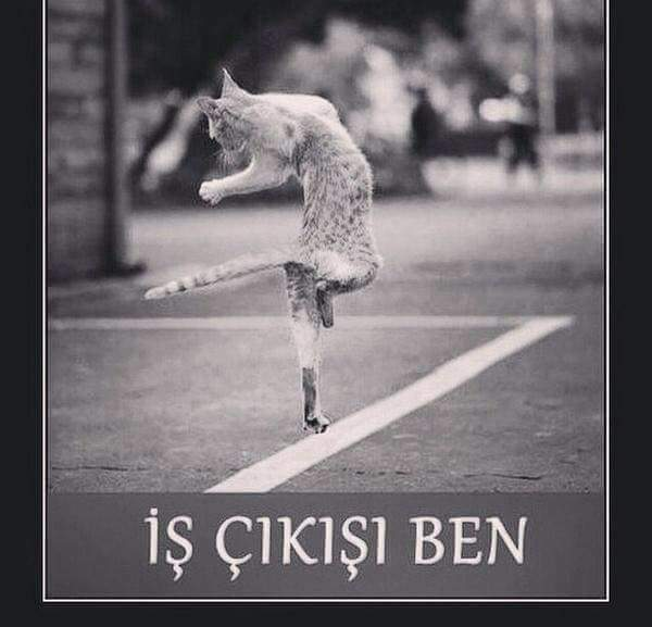 Deniz