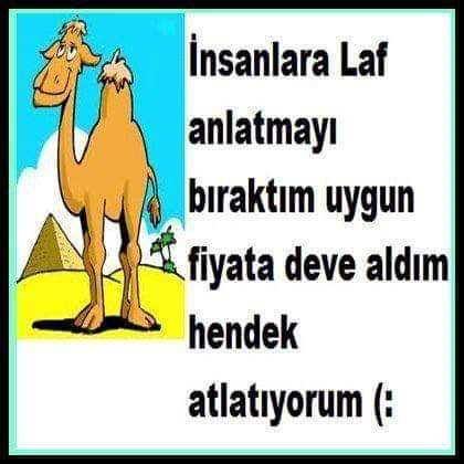 Serdar