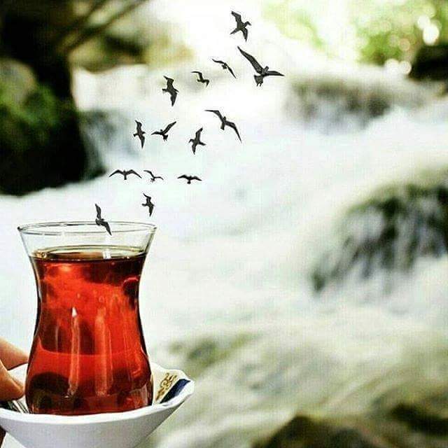 Gül