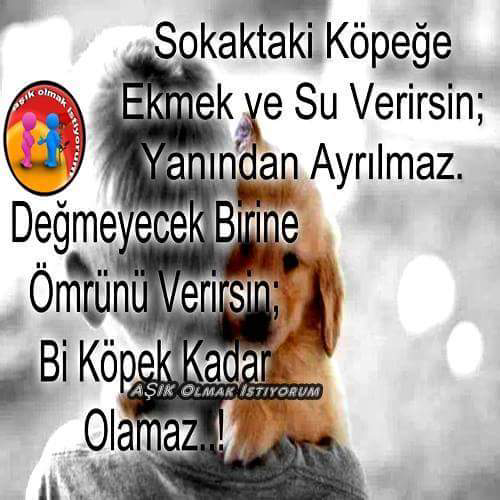 Gıyasettin