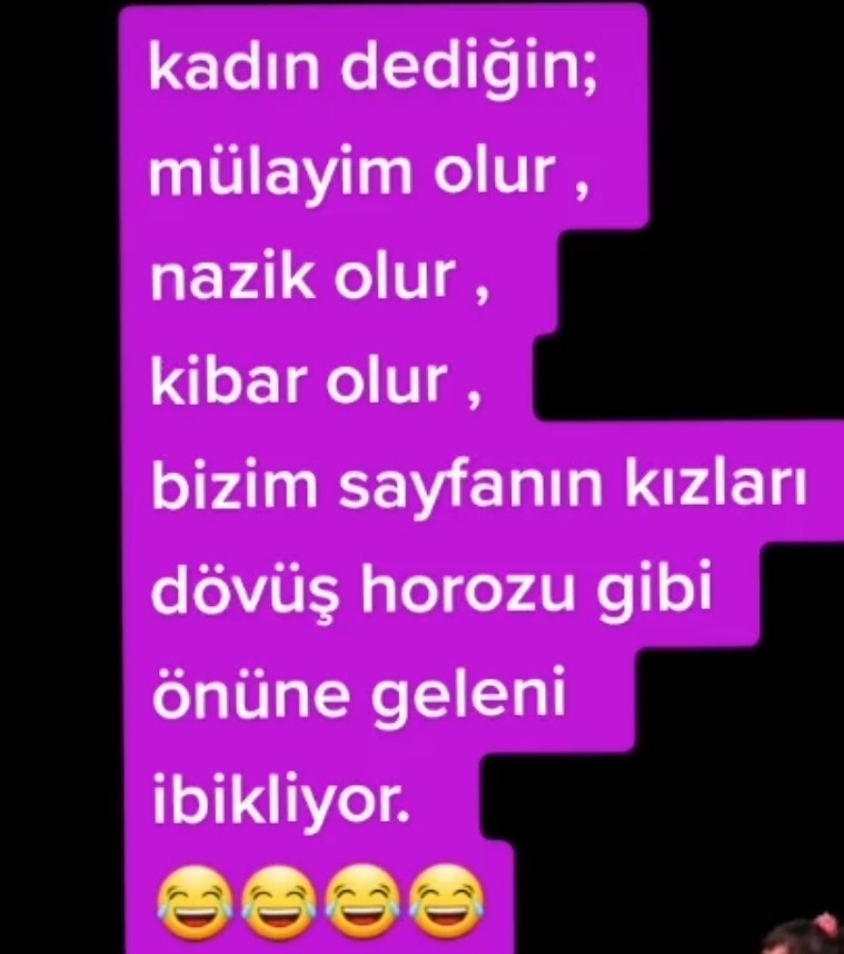 Aynur