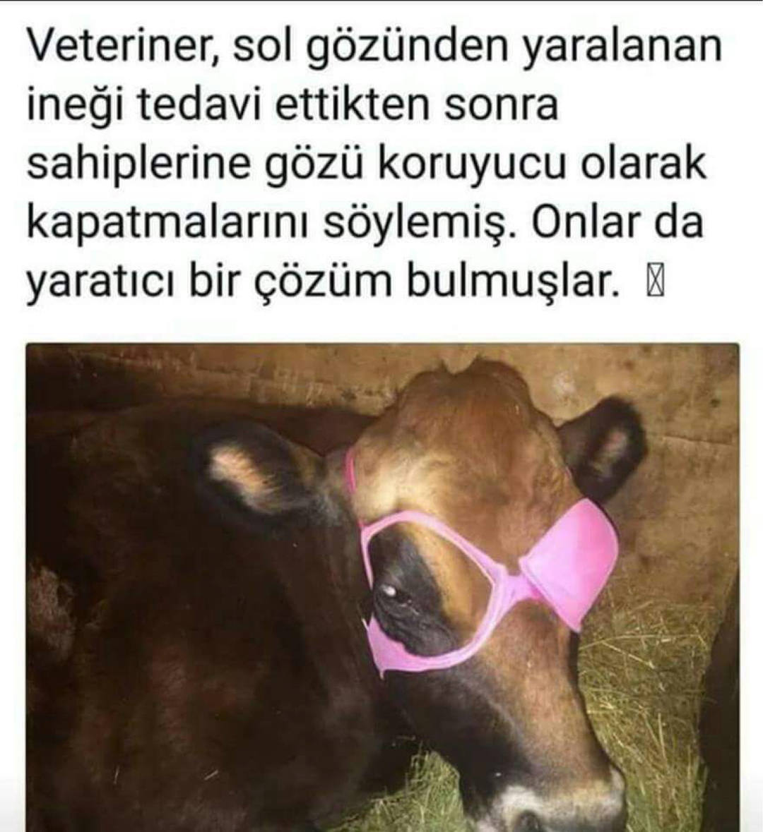 Melisa