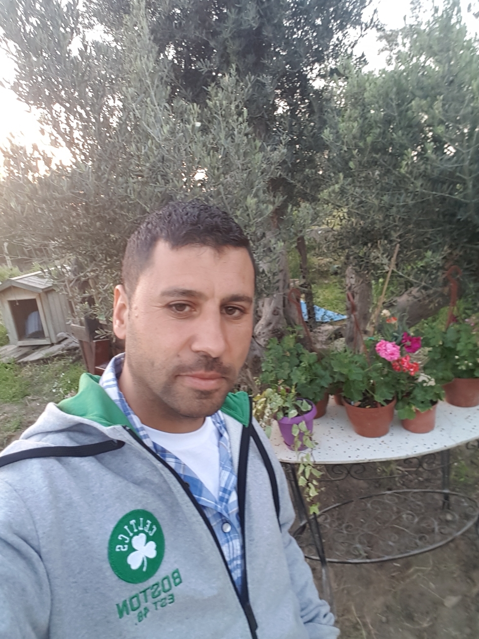 Barış