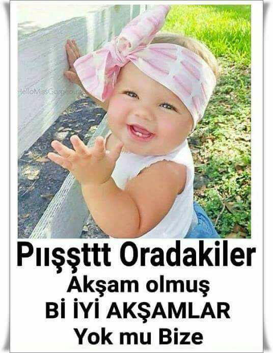 Aysel