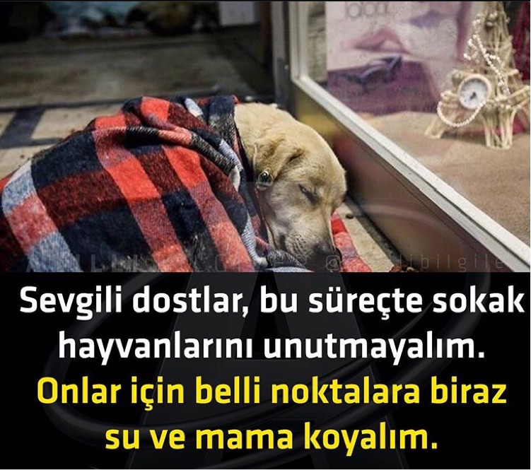 Mervan