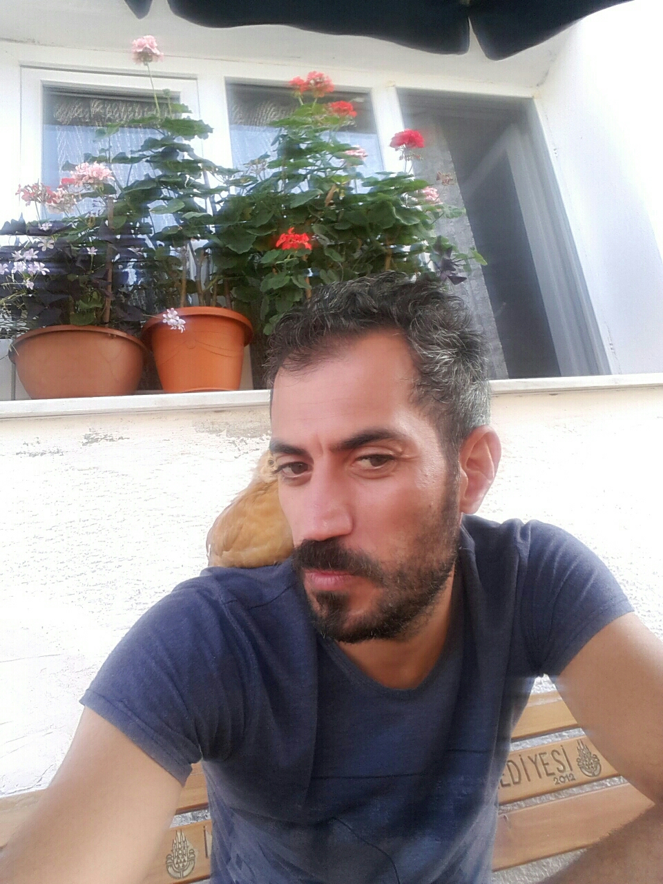 Serdar
