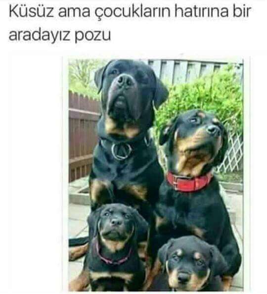 Cihan