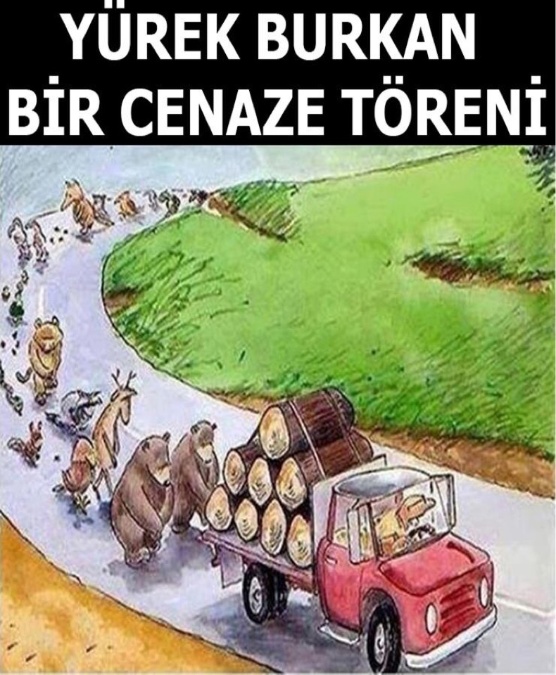 Fuat