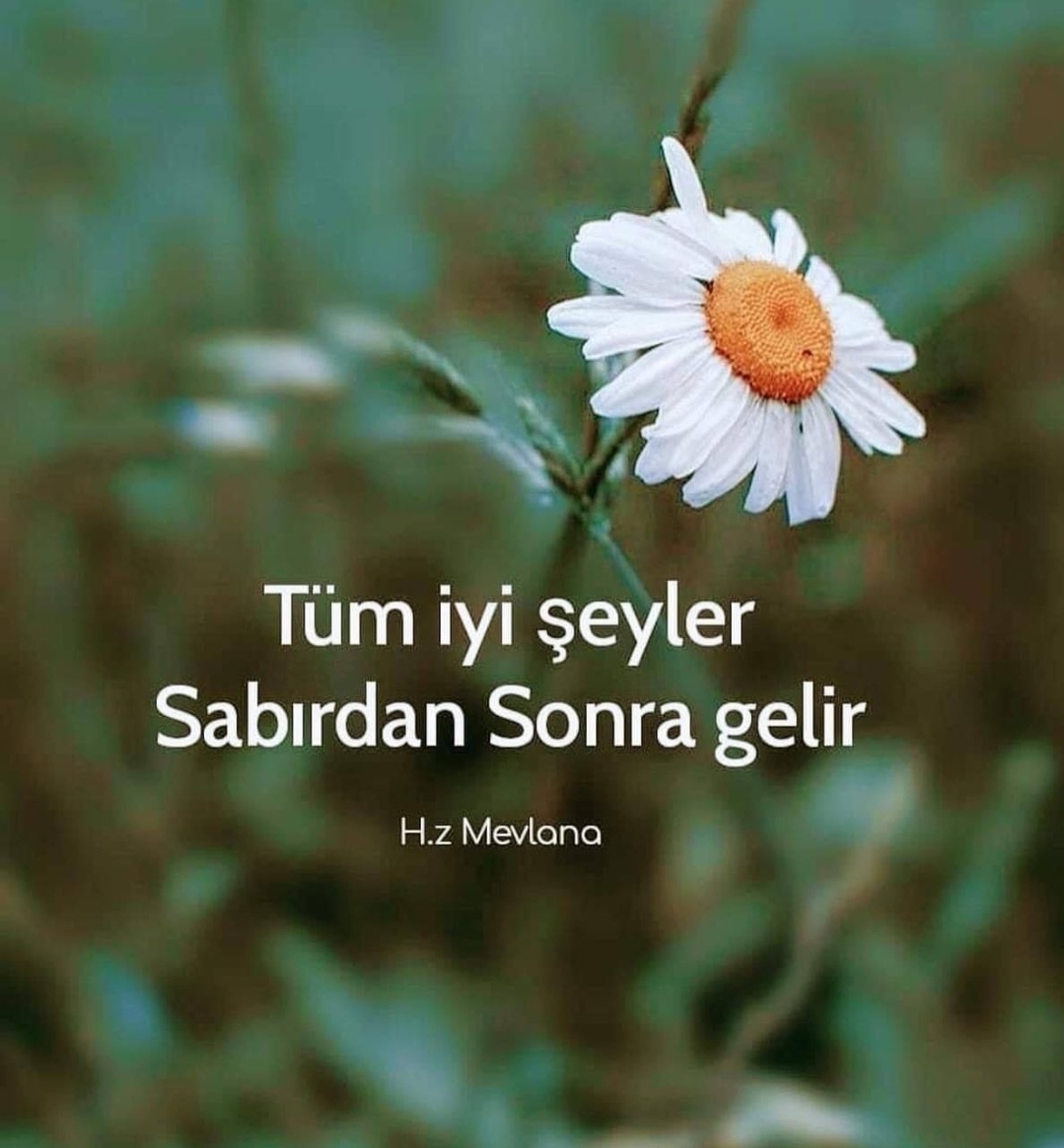 Çiğdem