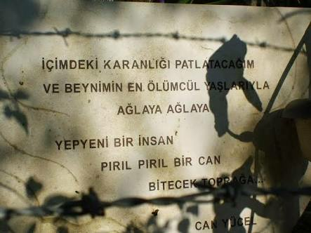 Tayfun