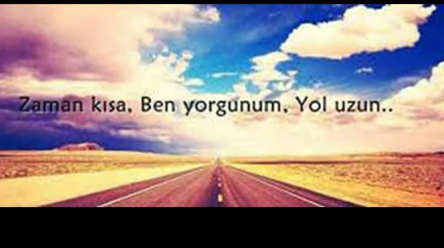 Alp