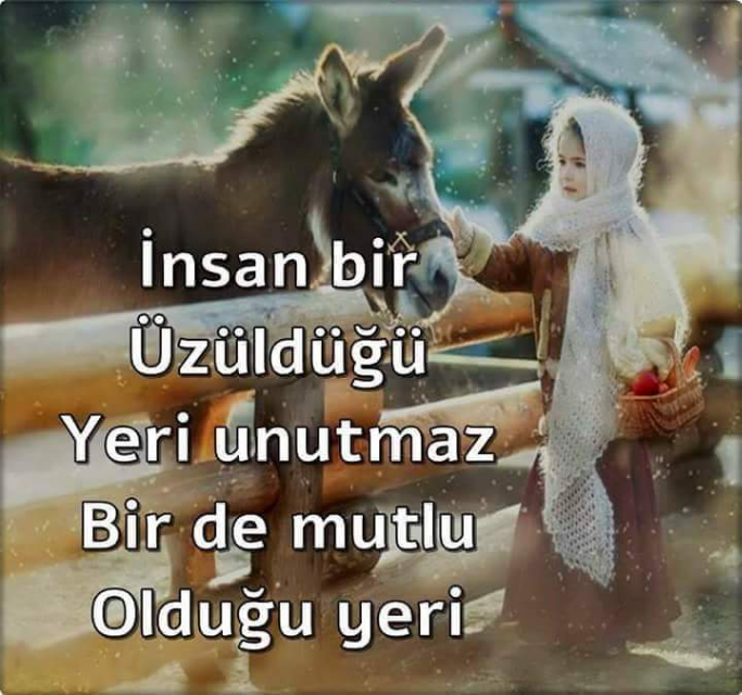 Hasibe