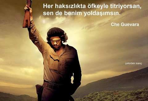 Gül