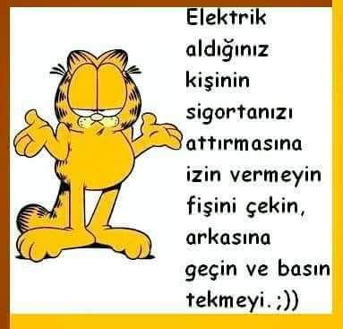 Halil