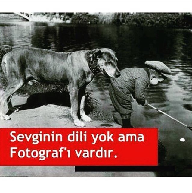 Türk