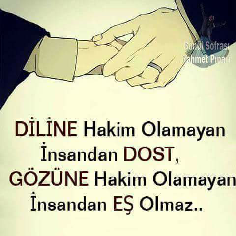Mehmetcemil