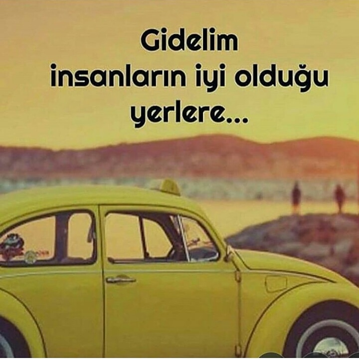 Sarı