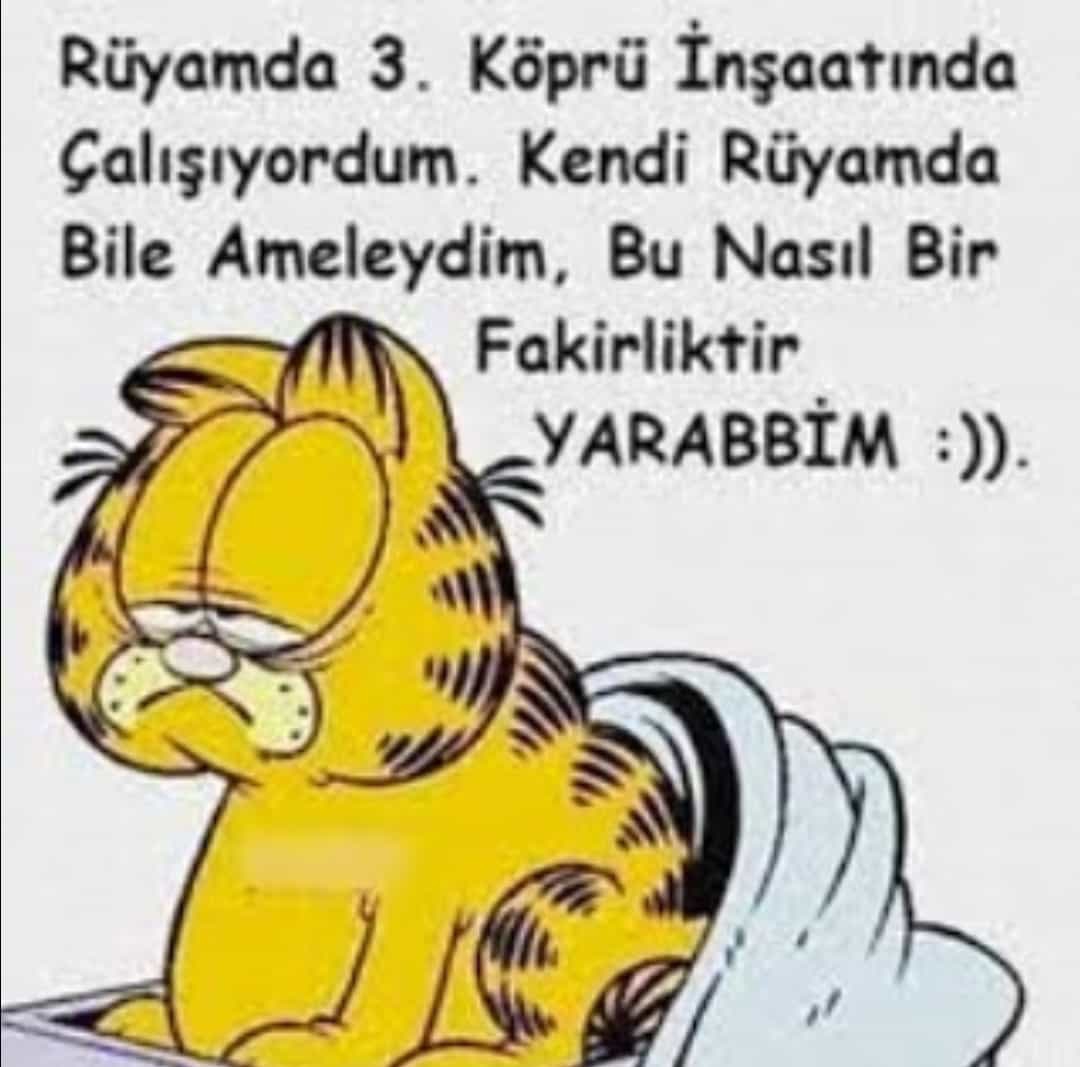 Aydın