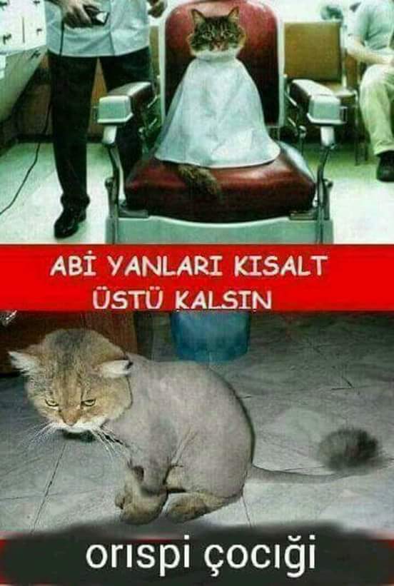 Canan