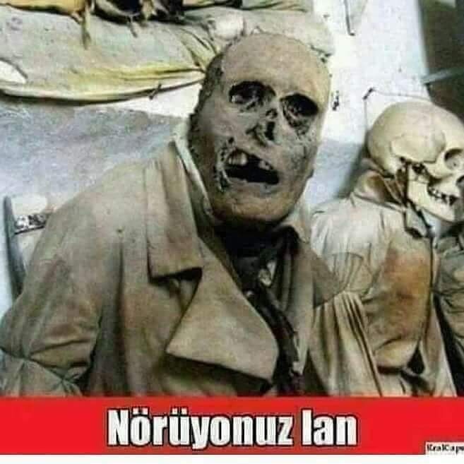Hülya