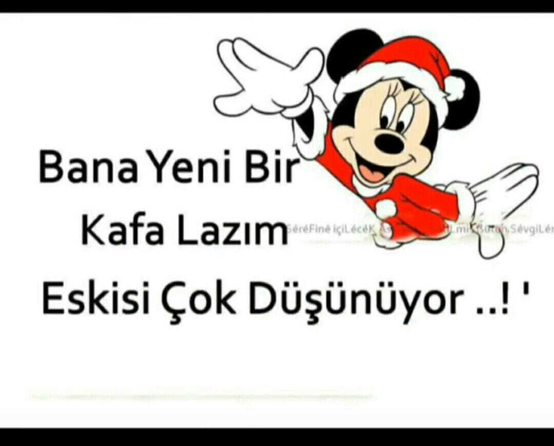 Aynur