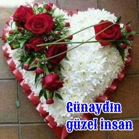 Koray