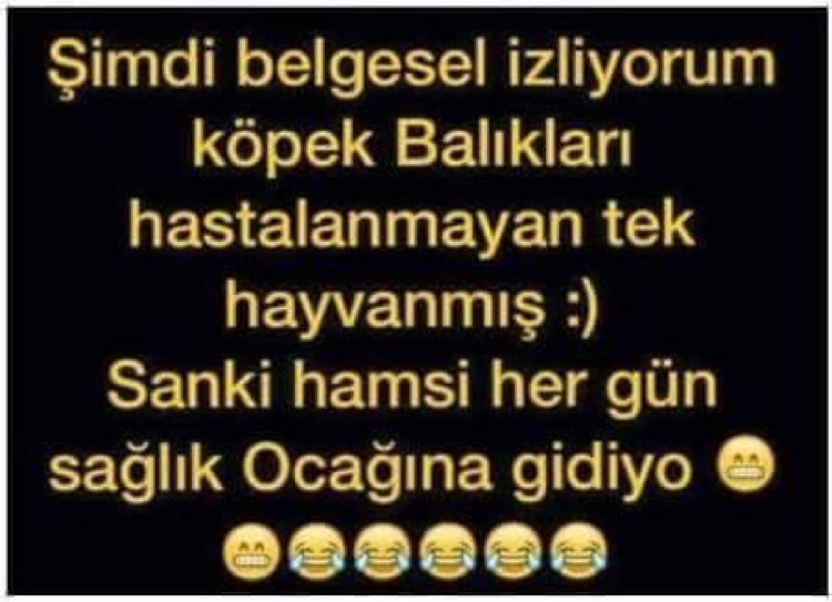 Sinan