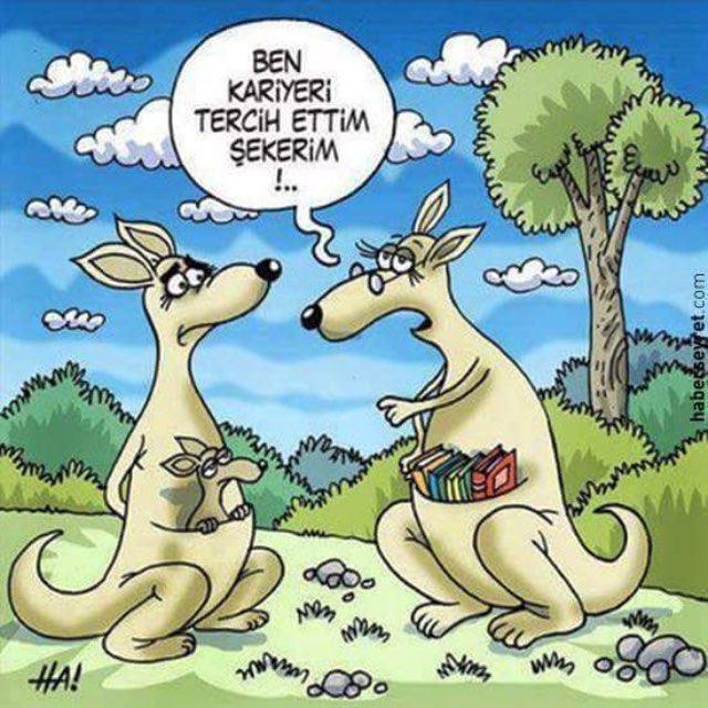 Selin