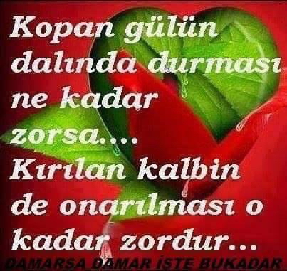 Erdal