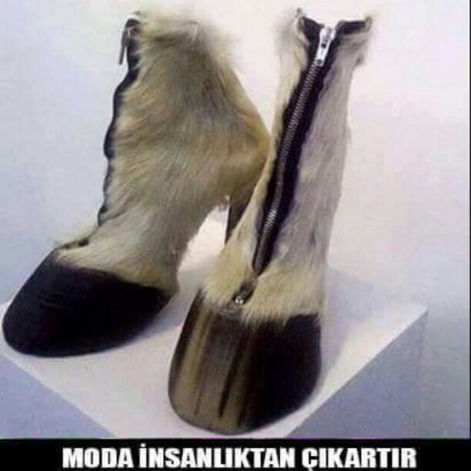 Yiğit