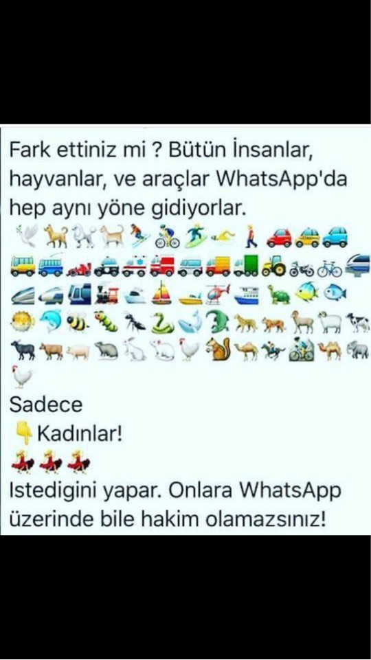 Cem