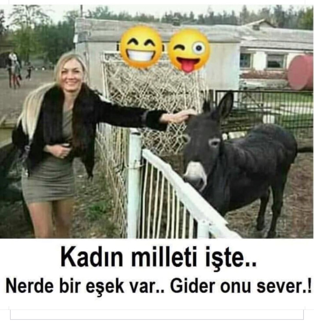 Fatih