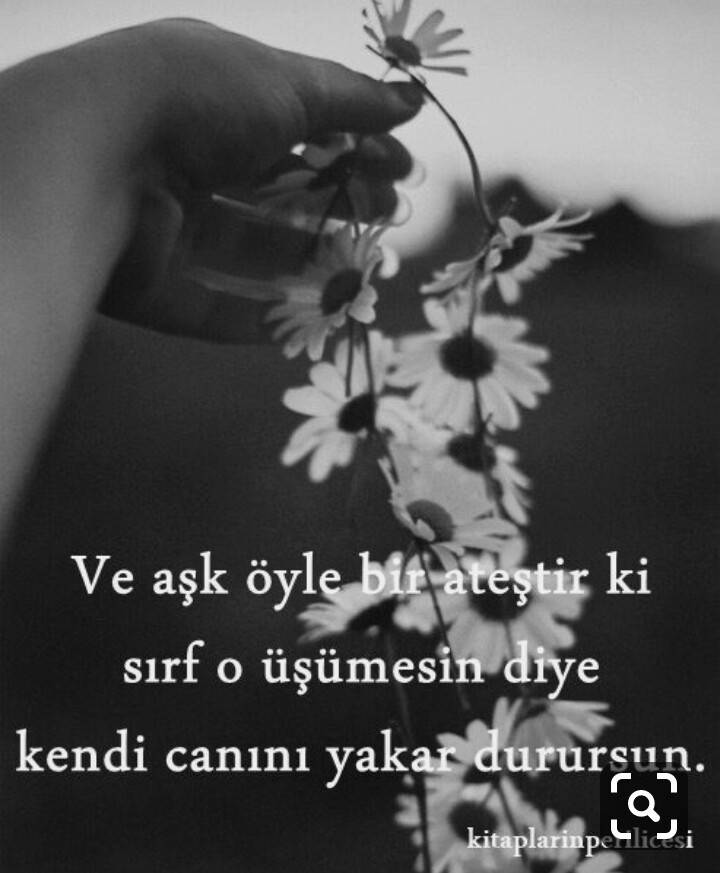 Hasan