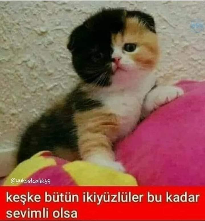 Cengiz