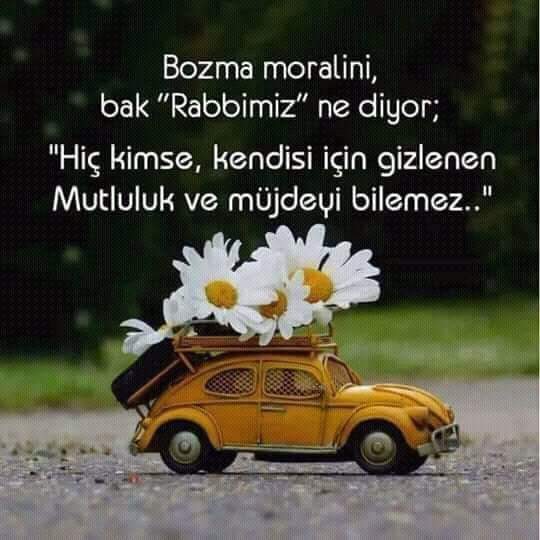 Sevda
