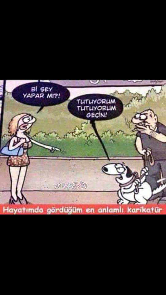 Şirin
