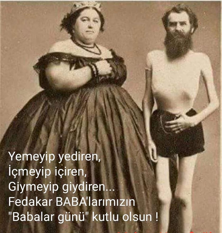Hayat