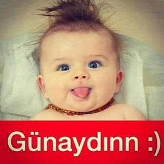 Serdar